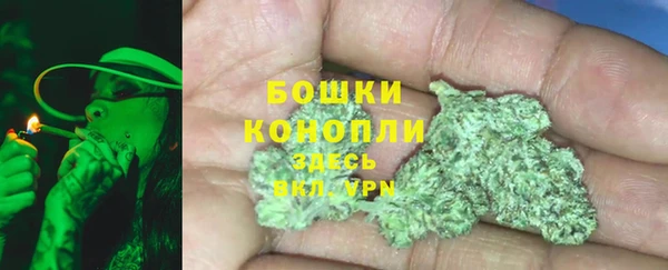 spice Гусиноозёрск