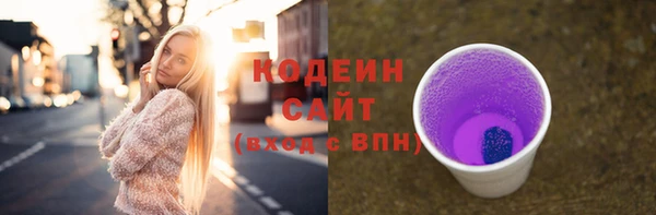 spice Гусиноозёрск