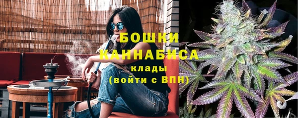 spice Гусиноозёрск